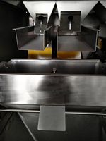 Haute capacité 3000g Grain particule Double échelles linéaire pesage trémies Vibration Machine de remplissage