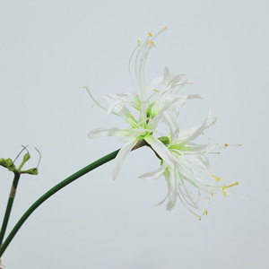 Equinox <span class=keywords><strong>fleur</strong></span> de soie, fleurs de <span class=keywords><strong>higanbana</strong></span> artificielles pour la décoration de vase de maison - Product Image 3
