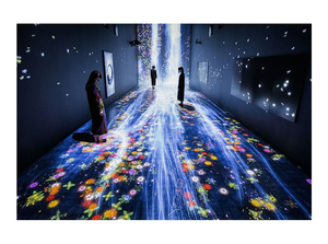 Salle de jeux murale interactive intérieure à grand écran |   Projection interactive <span class=keywords><strong>pour</strong></span> salles <span class=keywords><strong>d</strong></span>'exposition, expositions et musées - Product Image 5