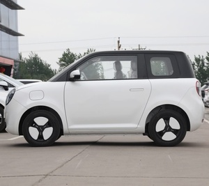 Microcoche Changan Automobile Qiyuan Lumin Totalmente Eléctrico con Autonomía de 210 km, 3 Puertas y 4 Asientos Hatchback - Product Image 4