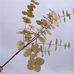 Guirlande de feuilles artificielles de <span class=keywords><strong>lierre</strong></span> et d'eucalyptus <span class=keywords><strong>en</strong></span> <span class=keywords><strong>plastique</strong></span>, décoration de maison, verdure <span class=keywords><strong>en</strong></span> cascade suspendue pour mariage - Product Image 6
