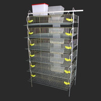 Cages à cailles en fil métallique, cage à cailles à étages avec système d'abreuvement automatique à vendre
