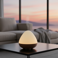 Diffuseur d'huiles essentielles portable, aromathérapie, diffuseur ultrasonique d'arômes, humidificateur pour la maison, la chambre, le bureau