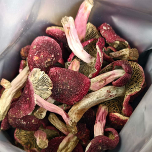 Máquina Comercial de Secado Rotatorio por Aire Caliente, Deshidratador de Alimentos de 16 Bandejas para Frutas, Carnes, Verduras y Hierbas - Product Image 3