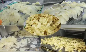 Petite ligne de production de friteuse à pommes de terre frites surgelées industrielle entièrement automatique machine à fabriquer les croustilles en vente