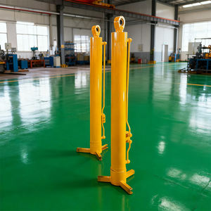 בוכנה הידראולית להרמת רכבים בעיצוב מותאם אישית, בוכנה הידראולית כפולת פעולה למלגזה, סט שלם - Product Image 6