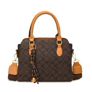 กระเป๋าสะพายพาดลำตัวทันสมัยมีพื้นผิวแบบพรีเมี่ยมสำหรับผู้หญิงกระเป๋าถือสะพายไหล่ดีไซน์หรูหราสำหรับผู้หญิงสินค้าในสต็อก - Product Image 2