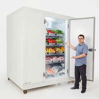 Chambre froide solaire à batterie lithium pour la congélation de viande, thon, poisson et fruits de mer