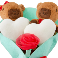 Bouquet de peluches capybara personnalisé, cadeau de la Saint-Valentin, adorable bouquet de fleurs en peluche de dessin animé
