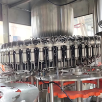 Machine de remplissage de jus de fruits 3 en 1 personnalisable à haut rendement pour bouteilles PET, mise en bouteille de boissons aux fruits à grande échelle