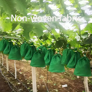 Kaili thoáng khí không dệt vải túi trái cây cho nho chim côn trùng không thấm nước UV bảo vệ 1% 3% vườn Net bao gồm dây rút - Product Image 4