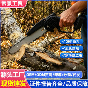 Scie à batterie au lithium rechargeable portative compacte pour usage domestique et extérieur, pour la coupe de bois de chauffage et l'abattage d'arbres - Product Image 4