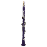 Professional Performance 17-Key Ring B-Grade Clarinet Woodwind Instrument Cloth Box