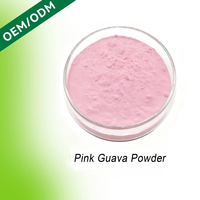 HDK Roze Guave Poeder Natuurlijk Fruitpoeder Rijk aan Vitamine C voor Smoothie Drankmix Groothandel Leverancier
