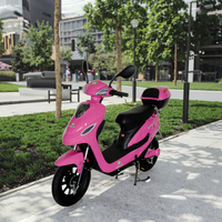 Brésil City Park Motos électriques Citycoco Scooter Pneu de 16 pouces Longue autonomie de 60km par charge Vélo électrique à charge maximale