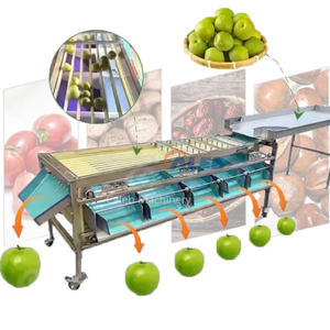 Machine de triage automatique des fruits facile à utiliser, machine de triage des fruits multifonctionnelle à grande vitesse - Product Image 2