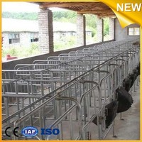 Nouvelle conception de cage de gestation pour porcs, stalles d'élevage de porcs