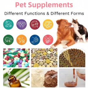 Échantillon gratuit soutient la santé intestinale suppléments et vitamines pour animaux de compagnie probiotiques pour chiens avec mélange d'enzymes - Product Image 6