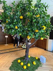 Árbol de Limón Artificial Grande Personalizado para Exteriores, de Alta Calidad, Anti-UV, Planta Artificial <span class=keywords><strong>Gigante</strong></span>, Suministros de Plantas Verdes - Product Image 4