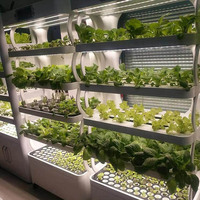 Système hydroponique intelligent d'intérieur, kit de croissance de plantes, plantation hydroponique