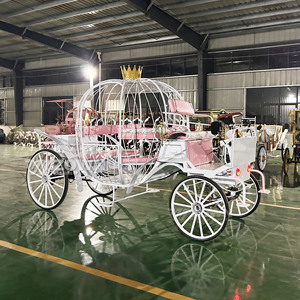 Kereta Kuda Mewah Berbagai Warna, Kereta Listrik, Kereta Kuda, Buatan China - Product Image 5