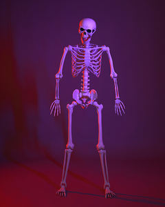 Model Kerangka Halloween Lintas Batas untuk Dekorasi Pesta Taman, Perlengkapan Rumah Hantu, Kerangka Plastik 165cm - Product Image 4