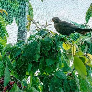 Filet à <span class=keywords><strong>poisson</strong></span> en rouleau noué pas cher - Product Image 6