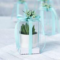 Boîte plastique en PVC avec ruban, 1 pièce, emballage pliable, plante, gâteau