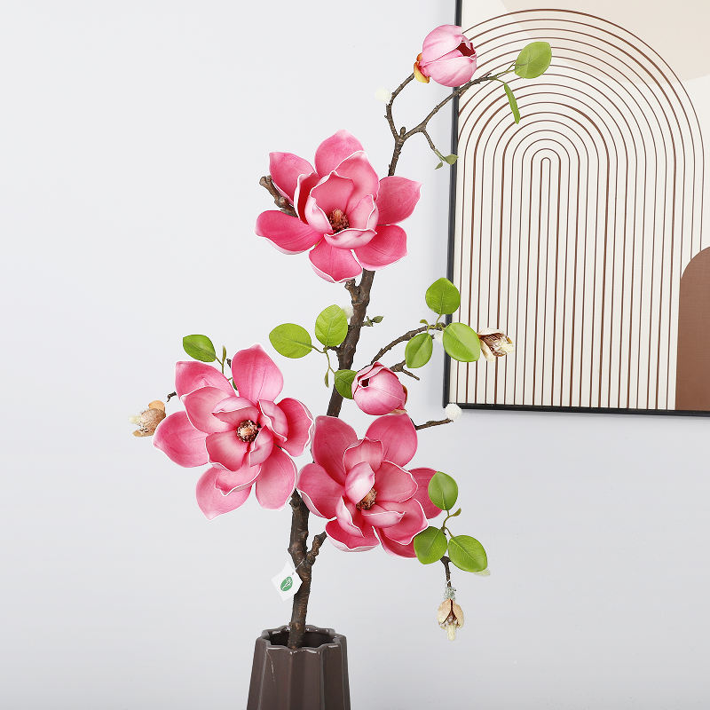 กุหลาบแดง