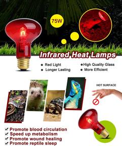 R125 הסיטונאי חיות פיגלט birdfarmequimiment/מנורת חום לחיות מחמד עמיד למים זכוכית קשה סאונה בית רובי - Product Image 4