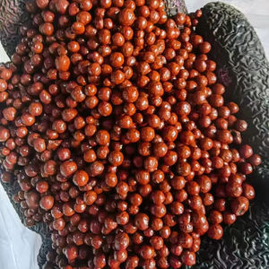 Fertilizzante Organico Granulare a Rilascio Lento con Acido Umico e Amminoacidi, Purezza 98%, Regolatore del Suolo, Vendita Diretta dalla Fabbrica - Product Image 3