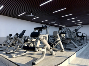 Estación de Fitness Doble con Rango de Movimiento Ajustable, Máquina de Polea para Ejercicios de Espalda con Carga de Discos, Máquina de Remo Sentado, Apta para Diferentes Alturas y Tipos de Cuerpo - Product Image 3