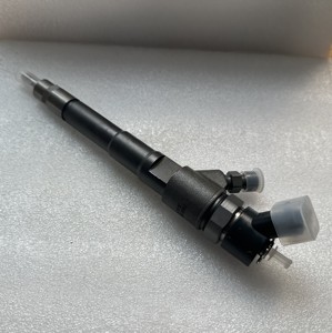 Iniettore Common Rail Diesel di Alta Qualità 0445110248 per Iveco Daily 3.0D, Fiat Ducato 3.0 MultiJet, <span class=keywords><strong>Peugeot</strong></span> <span class=keywords><strong>Boxer</strong></span> 3.0HDi - Product Image 2