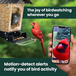 बाहर लटकने के लिए आसान डिजाइन उच्च गुणवत्ता वाले ऐक्रेलिक छत पक्षी स्नान को बाहर लटकाने के लिए आसान छत पक्षी स्नान - Product Image 3