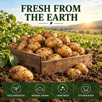 Premium verse natuurlijke hele aardappelen, groothandelslevering voor koken, bakken & culinaire keukens