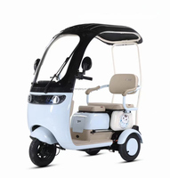 Scooter électrique à trois roues pour petits passagers, adapté aux familles et aux adultes