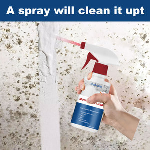 Nettoyant anti-<span class=keywords><strong>moisissure</strong></span> efficace OEM, <span class=keywords><strong>spray</strong></span> actif anti-<span class=keywords><strong>moisissure</strong></span>, agent de nettoyage et d'élimination des moisissures pour carrelage céramique et murs - Product Image 6