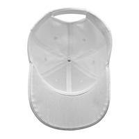 Gorra de Béisbol Unisex al por Mayor con Tira de Luces LED de 6 Paneles, Cierre Trasero Ajustable, Lona Común para Uso Deportivo, Logotipo Bordado Personalizado
