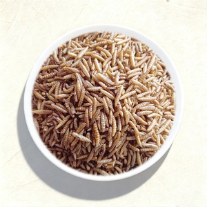 อาหารสัตว์น้ำสำหรับปลาอะโรวาน่าและ<span class=keywords><strong>ปลา</strong></span>คาร์<span class=keywords><strong>ฟ</strong></span>  วัตถุดิบอาหารสัตว์จากตัวอ่อนแมลงวันดำ (BSFL)  อบแห้ง  ฆ่าเชื้อด้วยไมโครเวฟ  โปรตีนสูง - Product Image 1