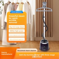 Fer à vapeur électrique vertical haute puissance Magasin de vêtements ménagers et commerciaux Fabricant direct Vapeur électrique pour vêtements
