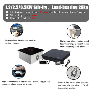 Plaque de cuisson intégrée commerciale 1200/2500/3500 Watt cuisinière électrique plaques de cuisson fabricant 12v 24v Dc cuisinières à Induction alimentées par batterie - Product Image 2