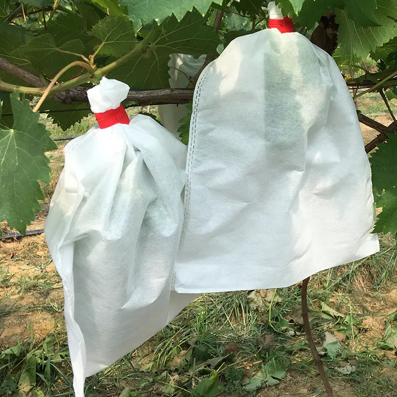 Sac de protection jetable contre les fruits Poignée scellée à cordon anti-insecte pour les raisins Pamplemousse Pipa Lotus Mist