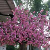 Arbre artificiel de cerisier à double couleur de 300 cm de hauteur, décoration intérieure de mariage moderne et écologique de luxe