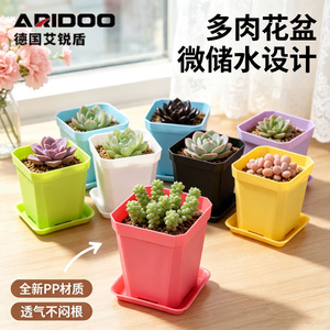 Airi Shield Taro Purple Succulent <b>Flower</b> <b>Pot</b> 7cm Small <b>Tall</b> Planter With Tray - Product Image 2