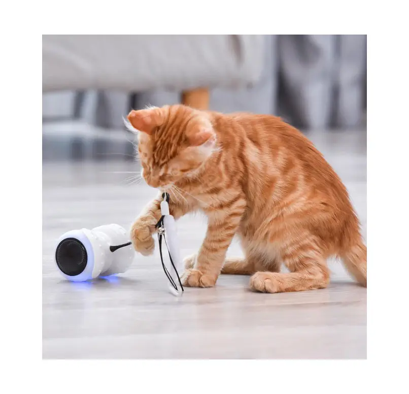 Nouveau design balle de jouet pour animaux de compagnie avec télécommande jouet pour chat interactif jouet de teaser de chat pour les chats