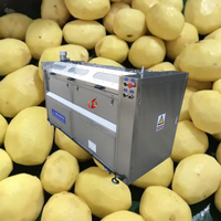 Qd-Hoogwaardige Droge Uienschilmachine Niet-Destructieve Pneumatische Ketting Uienschiller