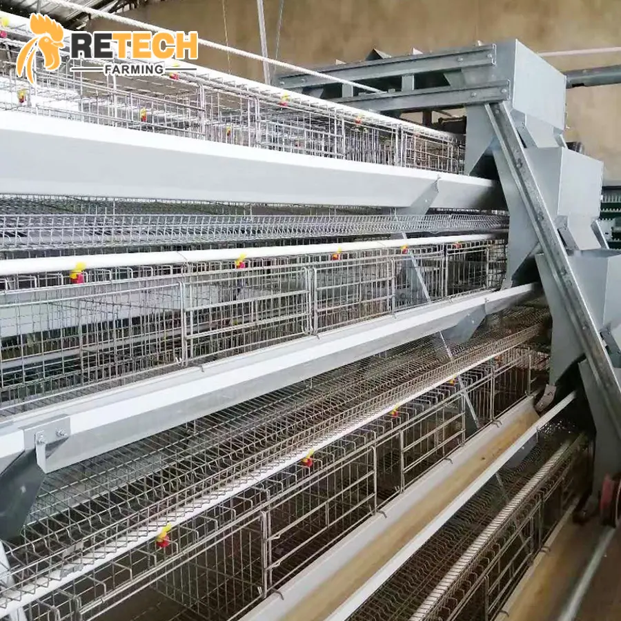 Cages à piles de haute qualité, 25000 oiseaux, ferme de volaille, volaille, poissons, mise à niveau