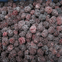 Nieuwe oogst IQF diepvries bramen, hele diepvriesvruchten, bramen voor smoothies, bakken, sap, dranken, rechtstreeks van de fabriek, groothandel