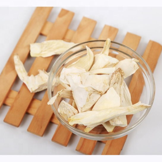 Сортировщик грибов устриц king