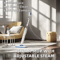Nettoyeur vapeur, serpillière vapeur haute température pour tapis et tatami, réservoir d'eau de 0,9 L, 1200 W, léger, compact, nettoyage humide des sols
